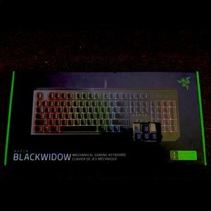 Razer Blackwidow Mech Gaming Keyboard
